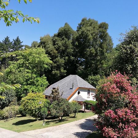 Hogsback Arminel Hotel Dış mekan fotoğraf