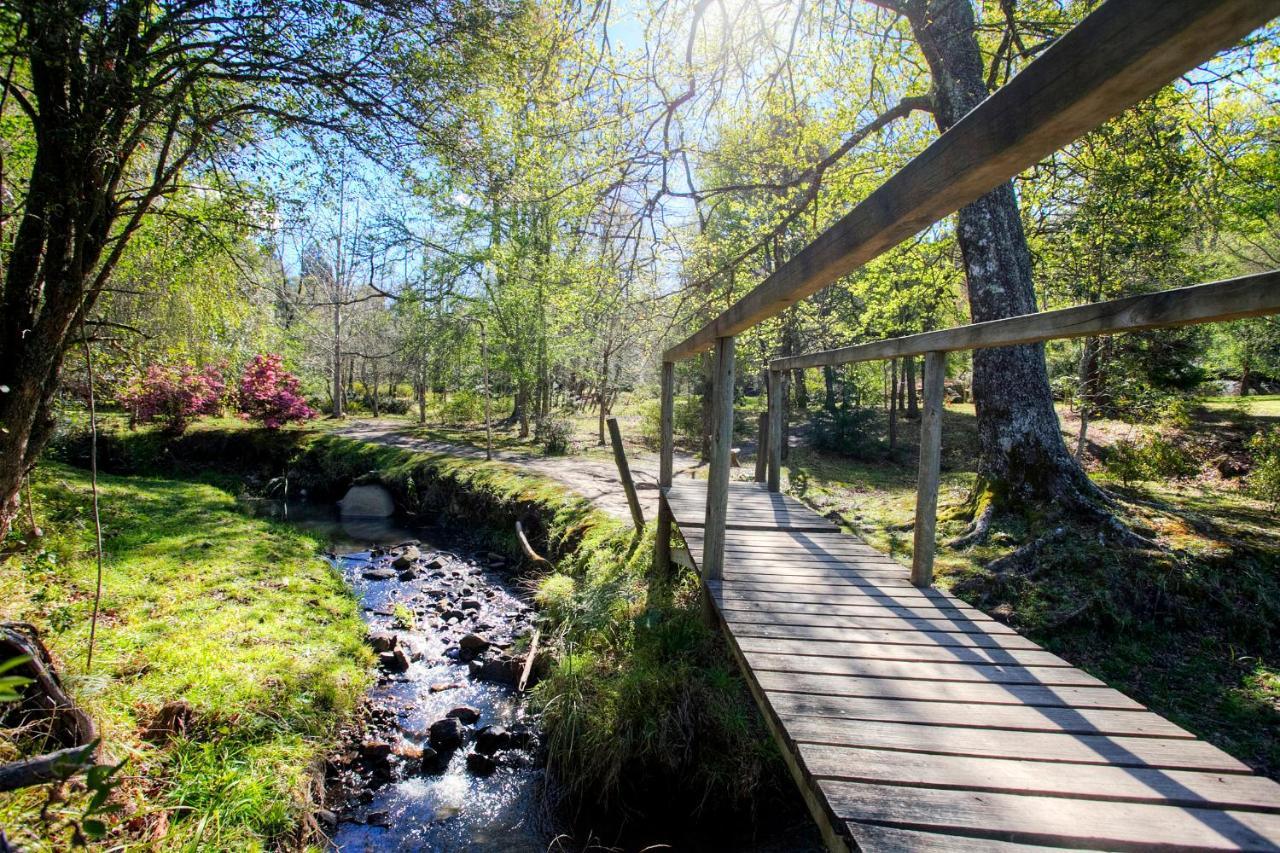 Hogsback Arminel Hotel Dış mekan fotoğraf