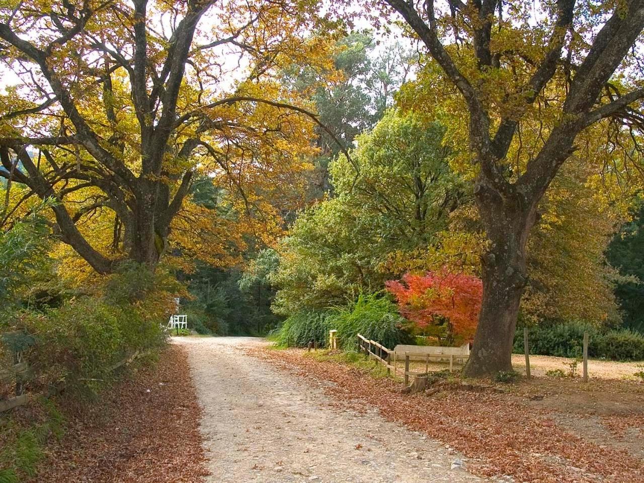 Hogsback Arminel Hotel Dış mekan fotoğraf